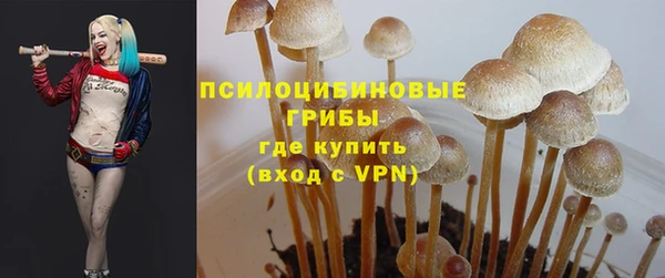 герыч Михайловск