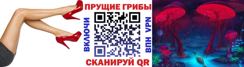 Псилоцибиновые грибы Cubensis  Нарьян-Мар 